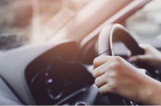 �y�b�g�z�e���@�L���@�L�@�˂��@�ԁ@���ԏ�