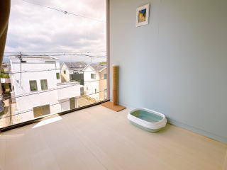 �L���@�y�b�g�z�e���@�L�@�˂��@�l�R�@�L���s�@����